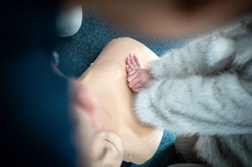 61980e4d-d5ac-44ce-a835-63bede858b37